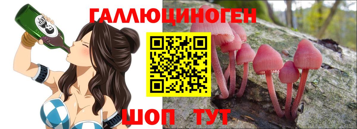 Псилоцибиновые грибы MAGIC MUSHROOMS Старая Купавна