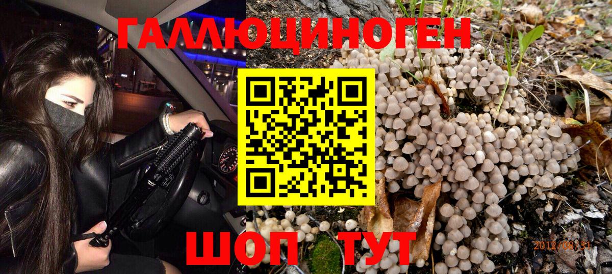 Галлюциногенные грибы Psilocybine cubensis  Вход с VPN  Старая Купавна 